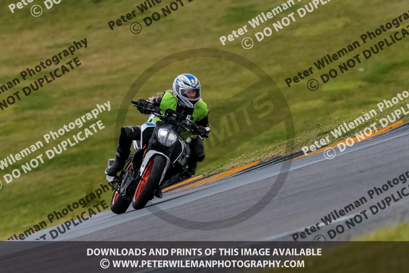 PJ Motorsport 2019;anglesey no limits trackday;anglesey photographs;anglesey trackday photographs;enduro digital images;event digital images;eventdigitalimages;no limits trackdays;peter wileman photography;racing digital images;trac mon;trackday digital images;trackday photos;ty croes